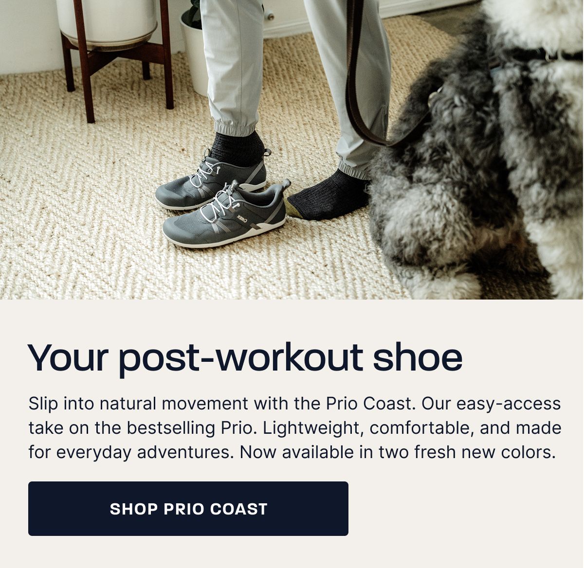 Shop Prio Coast