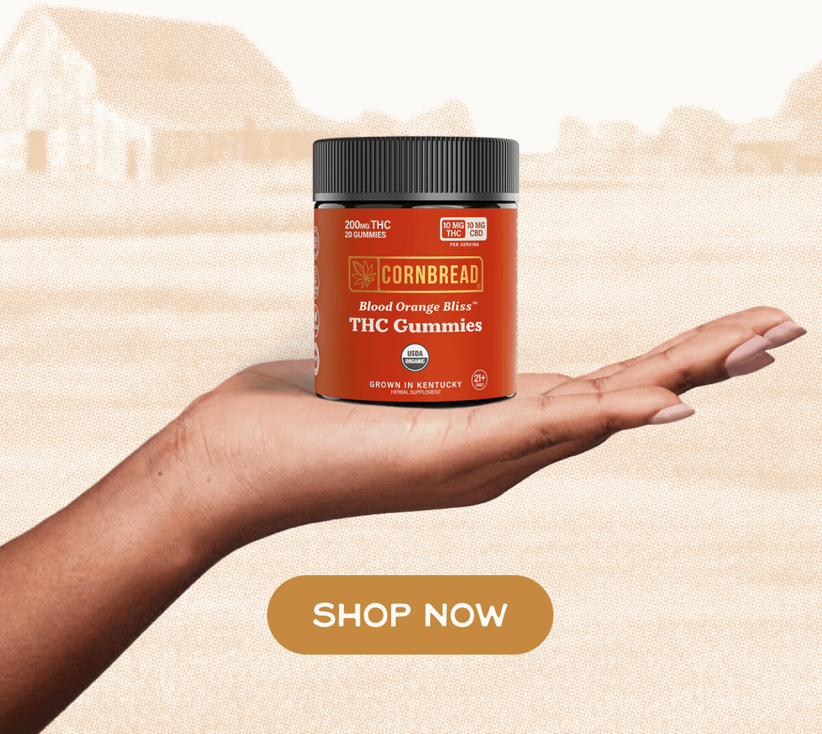 Buy 1, Get 1 FREE: 48 Hours Only