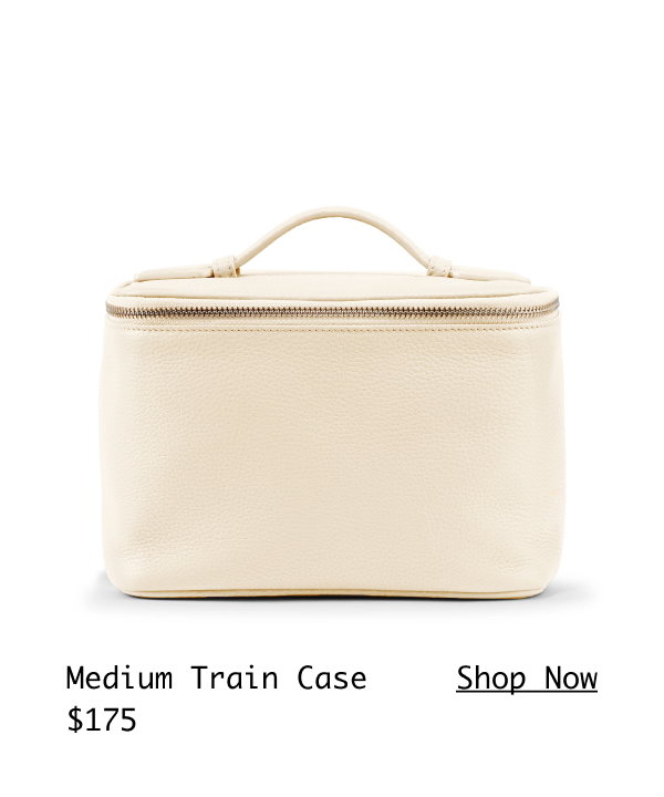 Medium Train Case >