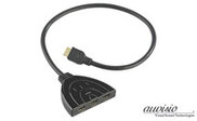 Image Article