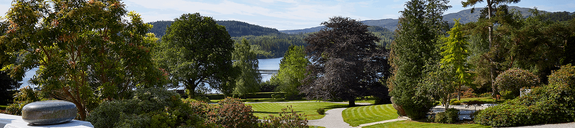 Terrace View from Forest Hills Hotel & Resort