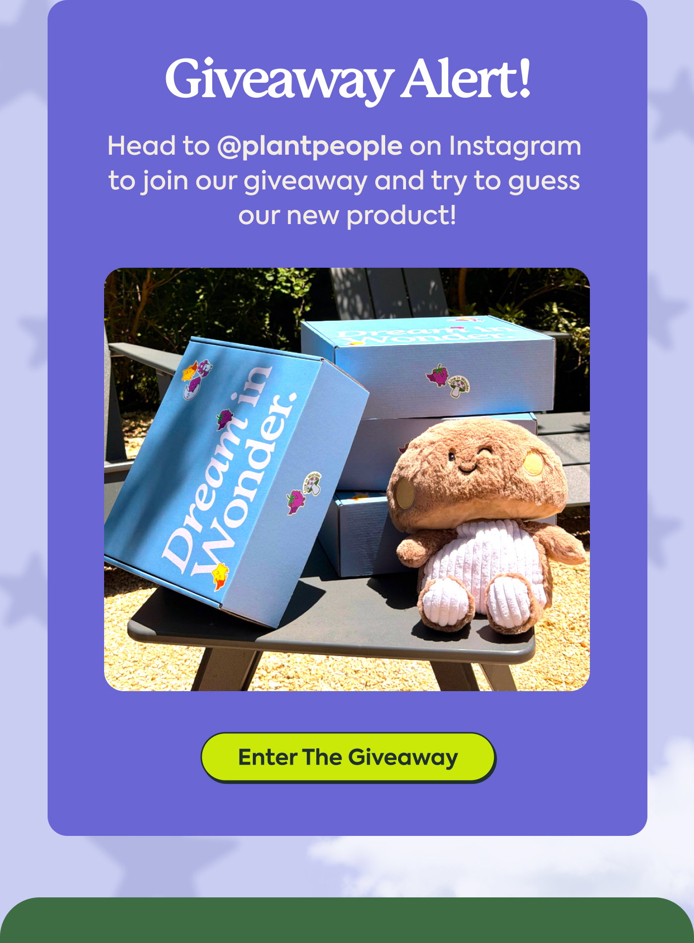 Giveaway Alert! Head to @plantpeople on Instagram  to join our giveaway and try to guess our new product! Enter The Giveaway