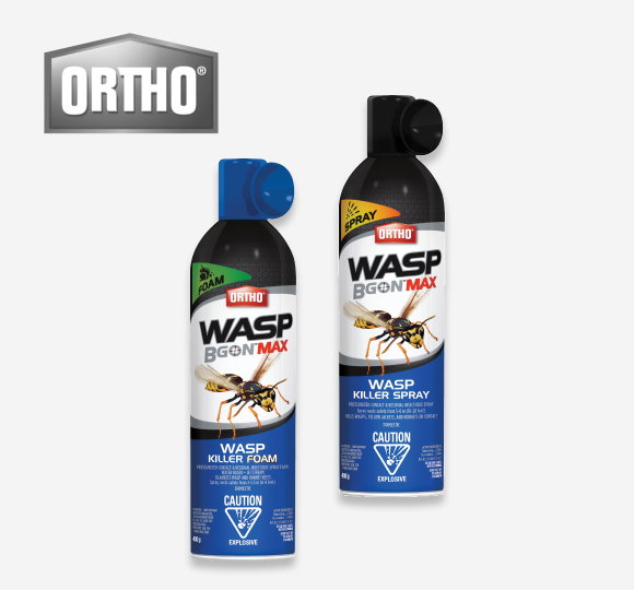 $6.99* EA.  ''Wasp B Gon Max'' Wasp Killer