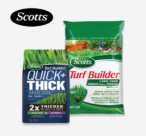 SAVE 25%* All SCOTTS Grass Seeds and Fertilizers