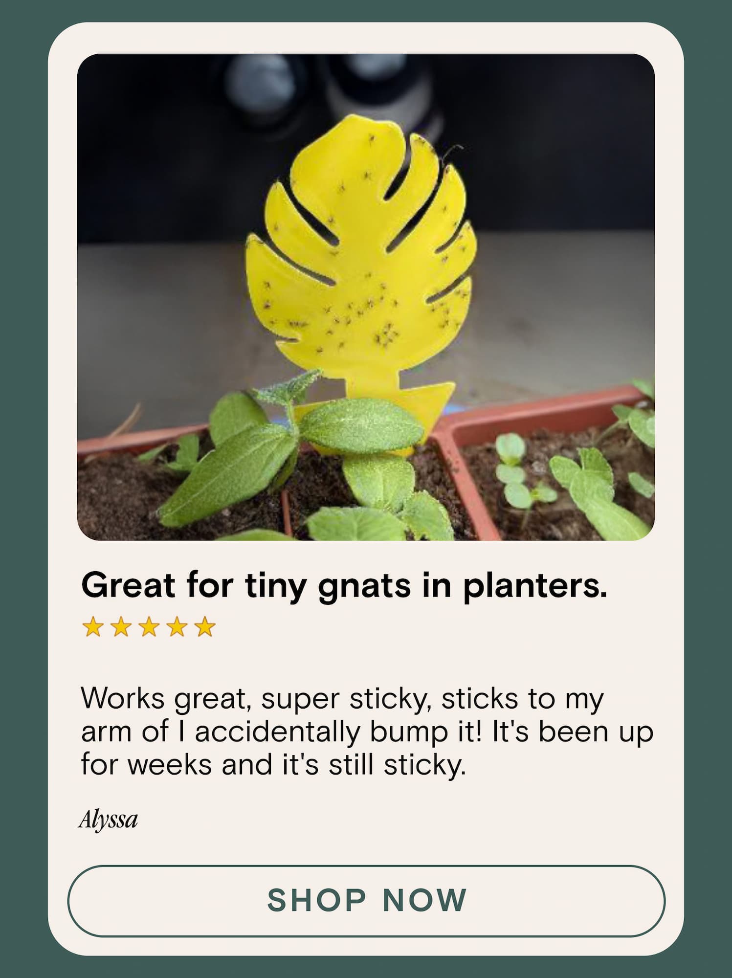 Works great, super sticky, sticks to my arm of I accidentally bump it! It's been up for weeks and it's still sticky.