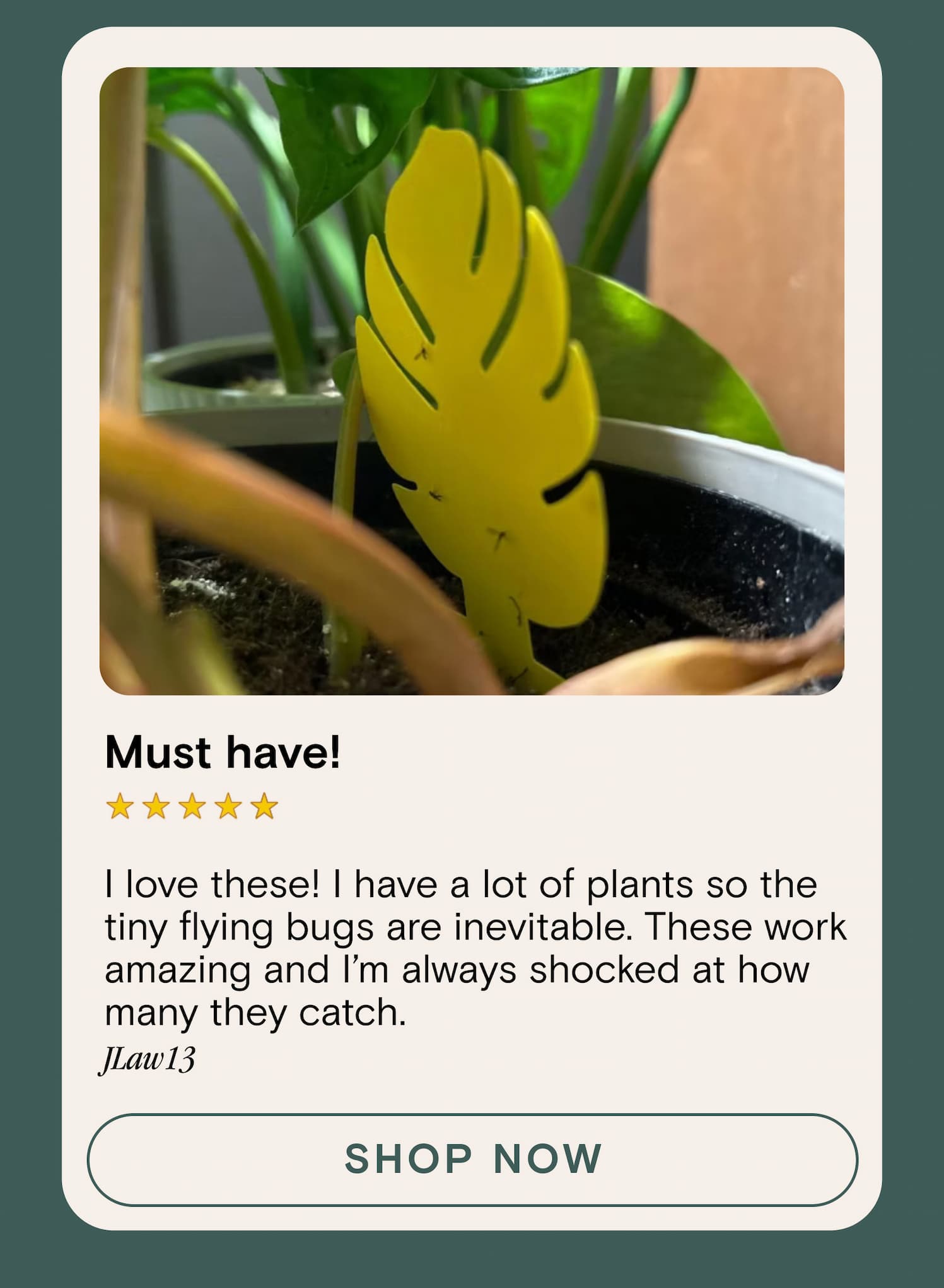 I love these! I have a lot of plants so the tiny flying bugs are inevitable. These work amazing and I’m always shocked at how many they catch.