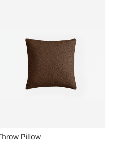 Throw Pillow