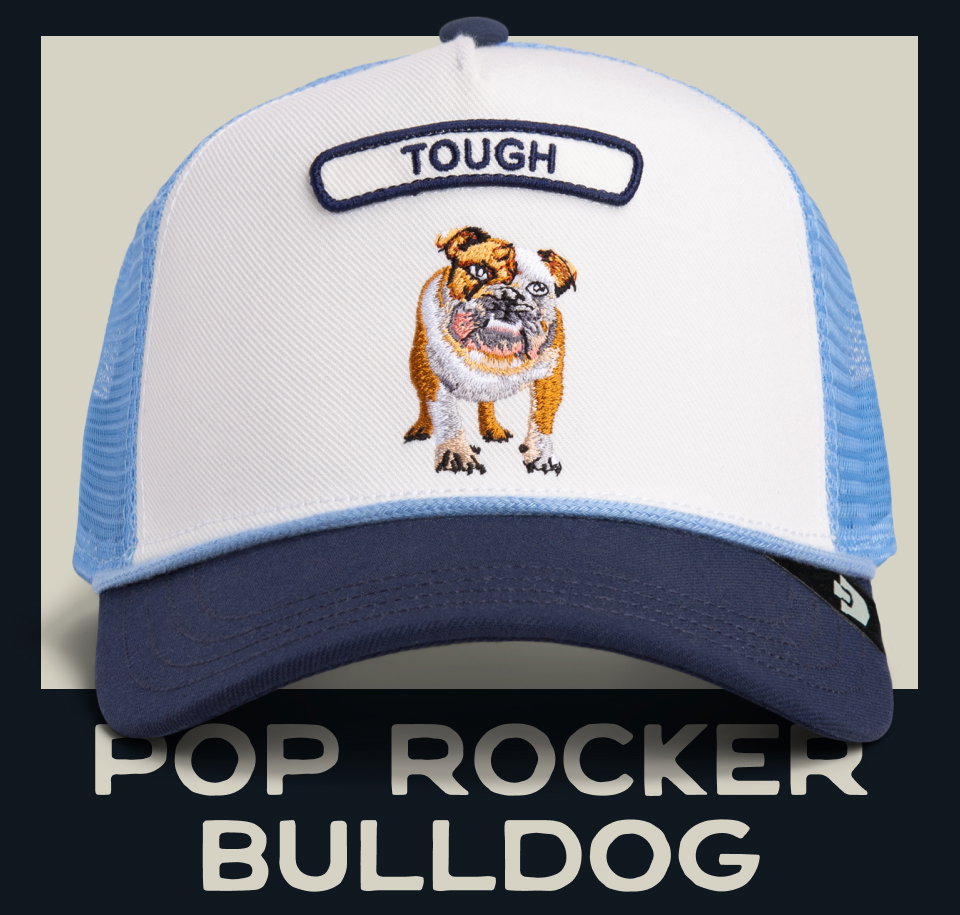 Pop Rocker Bulldog