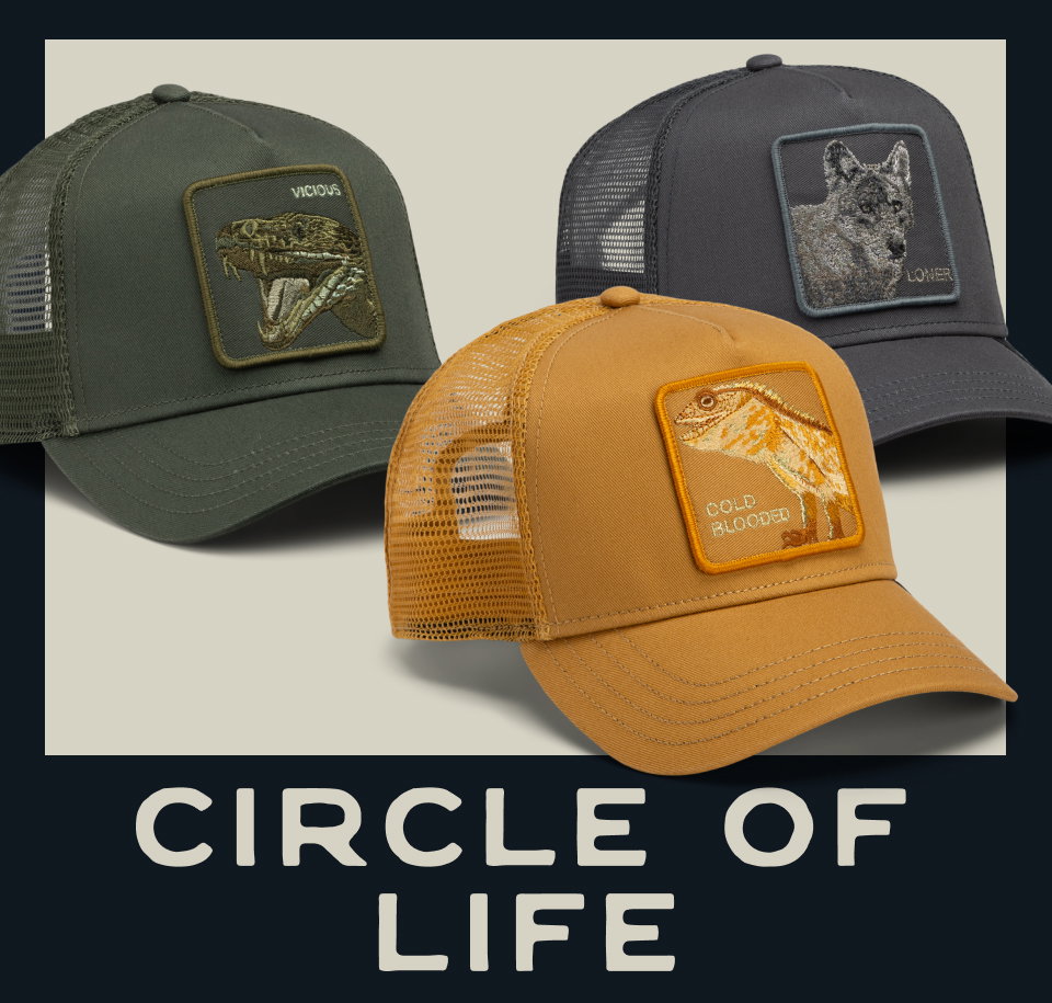 Circle of Life