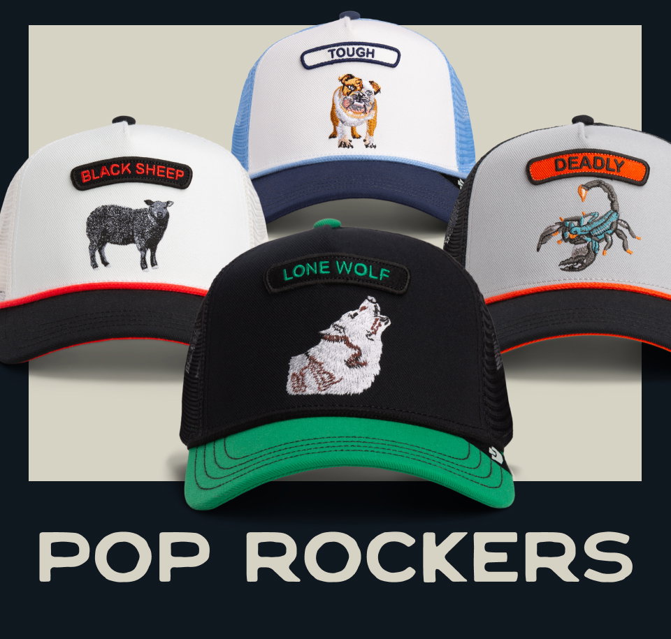 Pop Rockers