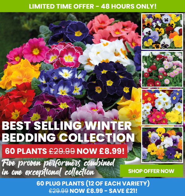 Winter Bedding Super Saver Collection