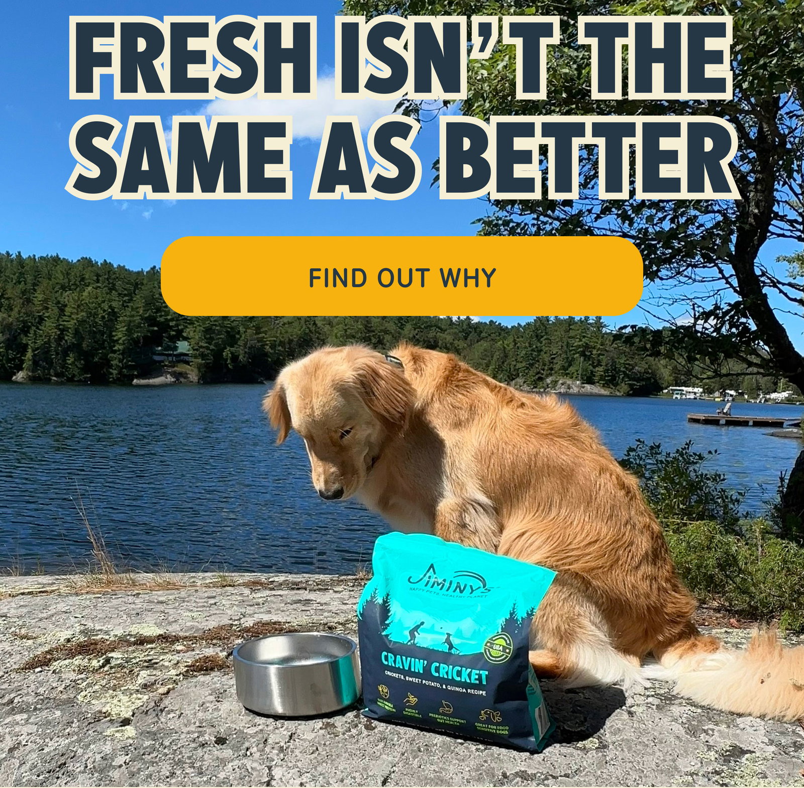 FRESH ISN’ T THE SAME AS BETTER Find Out Why