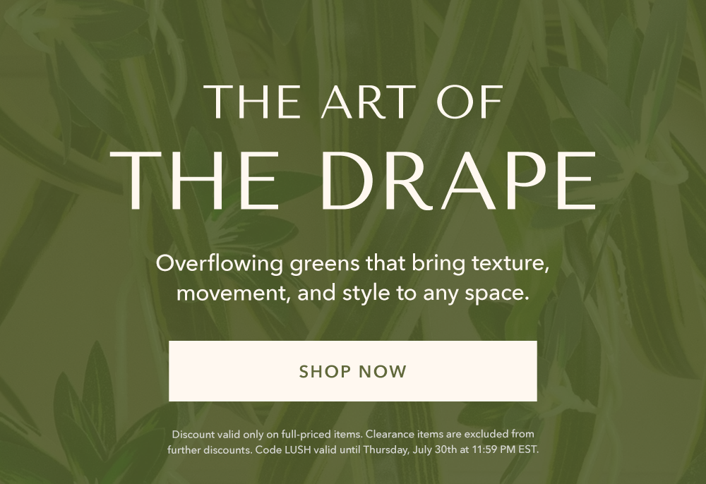 The Art of the Drape