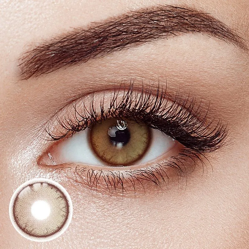Dusk Brown 6 Months Contact Lenses | 2 Pcs