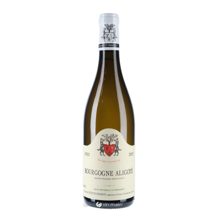 https://www.vin-malin.fr/17200-madeleine-victor-morgon-2022.html