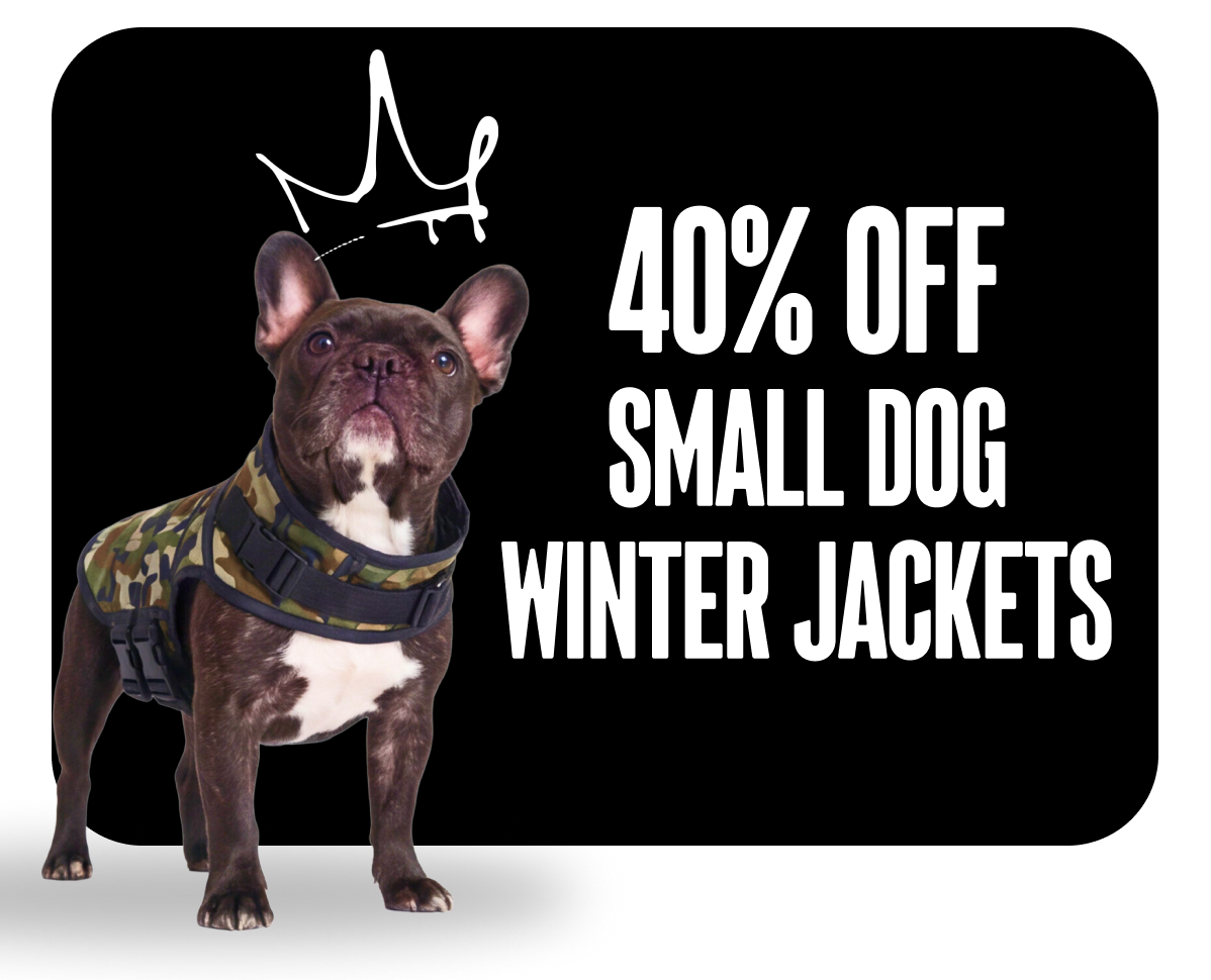 40% OFF SMALL DOG WINTER JACKETS