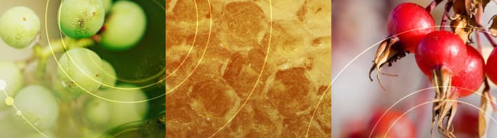 What gives skin its bounce?