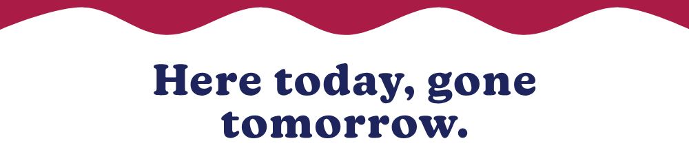 here today, gone tomorrow. 