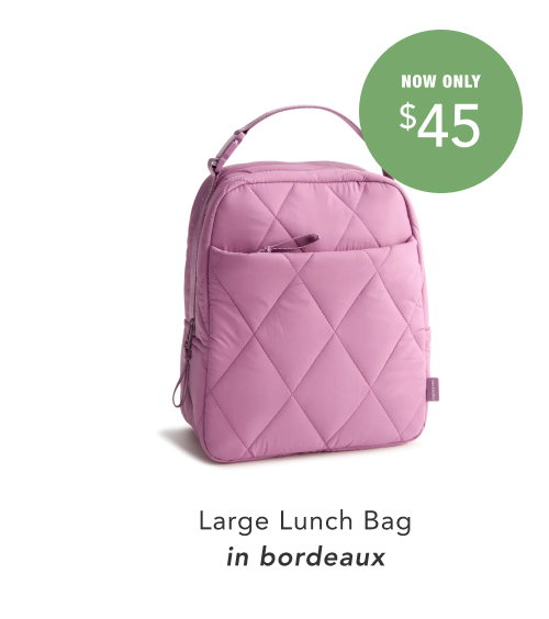 Large Lunch Bag