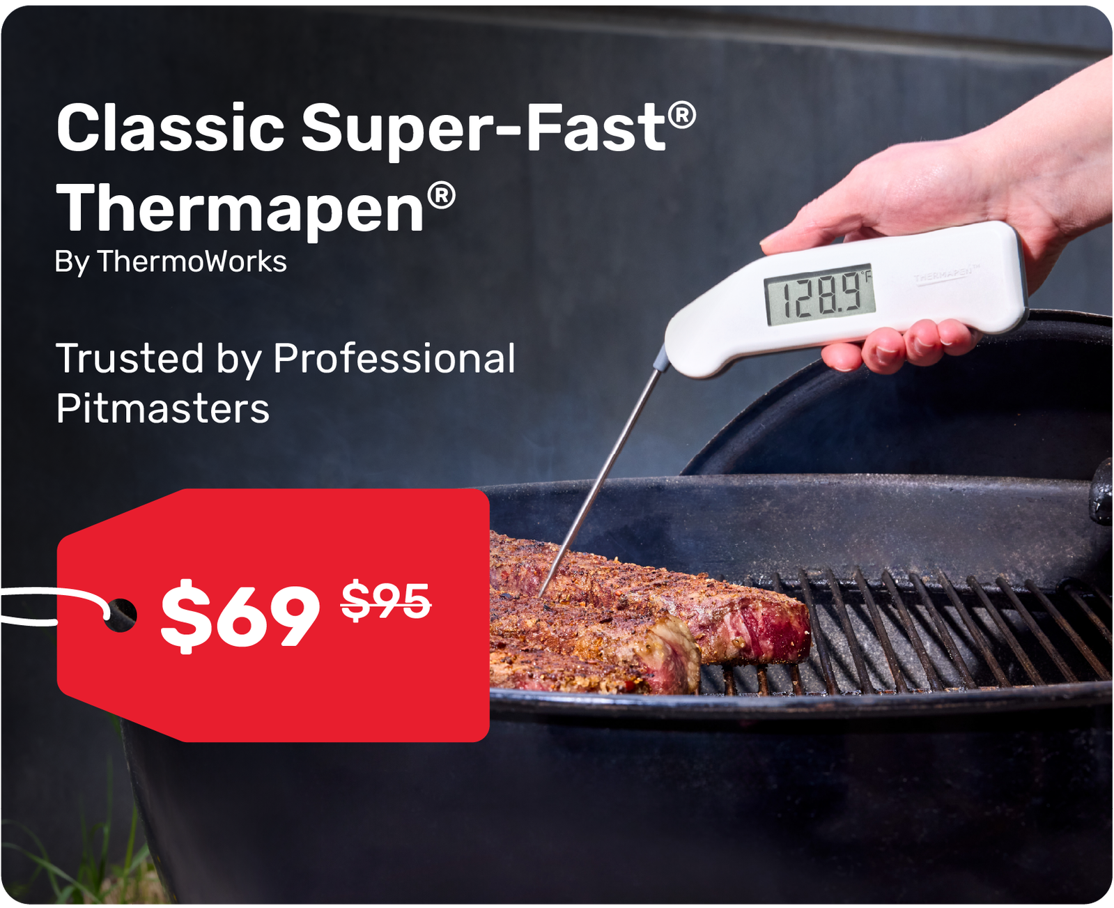 Classic Super-Fast Thermapen: Only $69