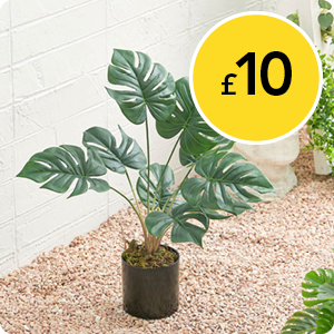 £10