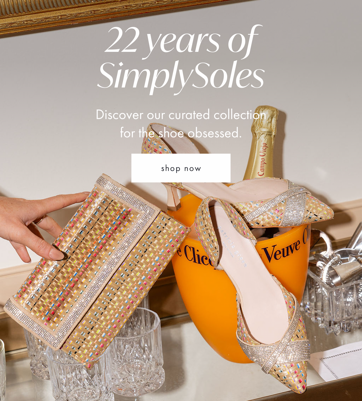 SimplySoles Designer Footwear
