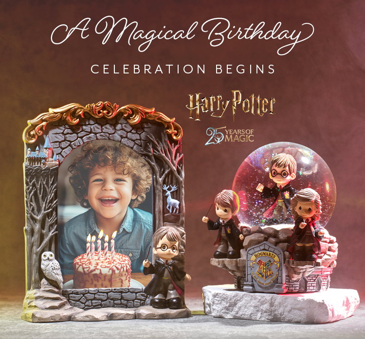 Harry Potter Collection