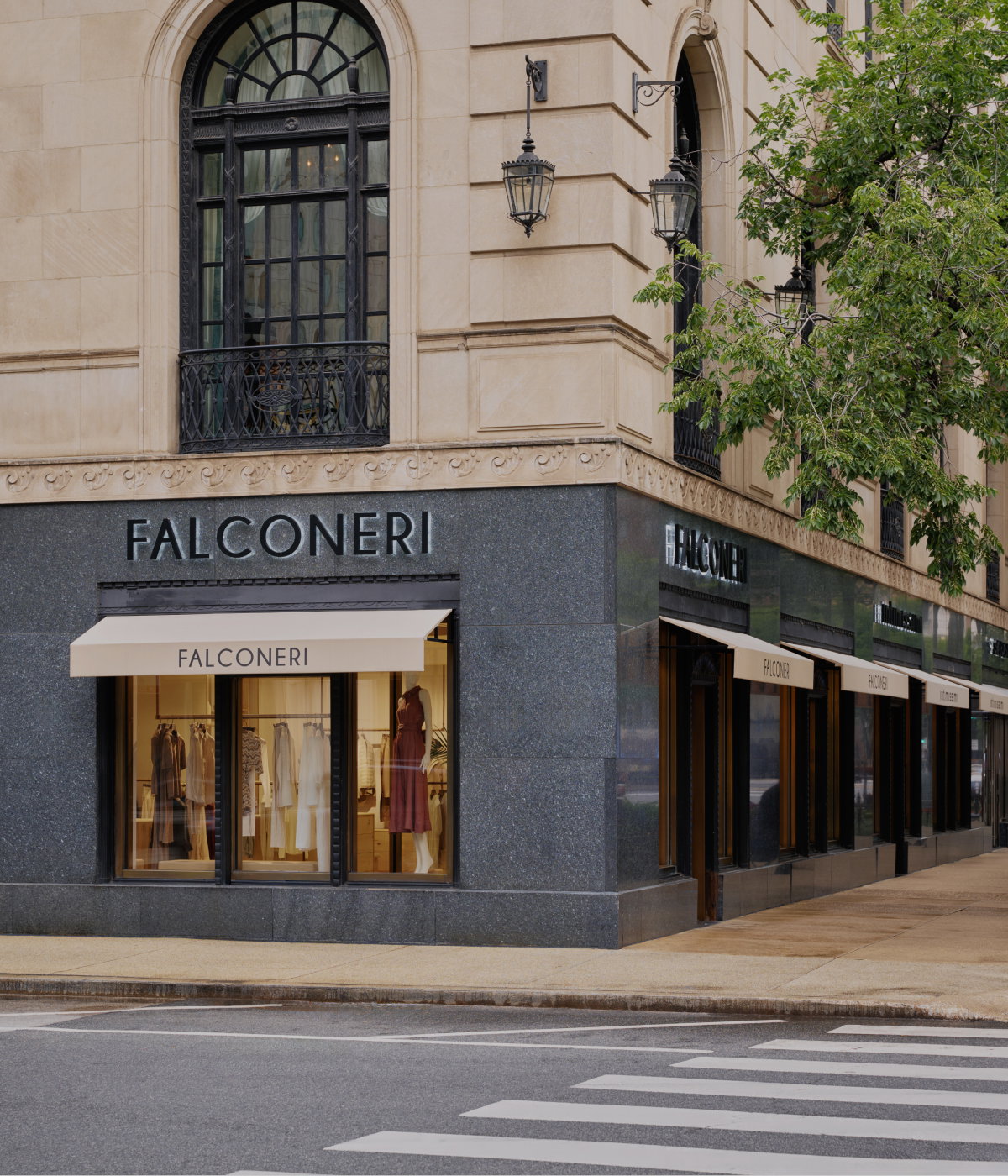Falconeri
