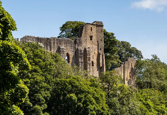 Ruins of a stone castle partially obscured by lush green trees under a clear blue sky.