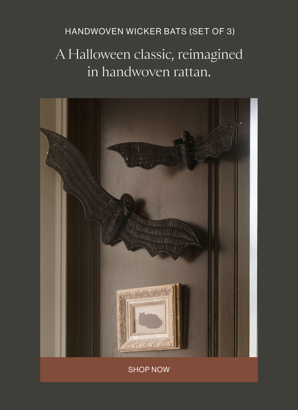 HANDWOVEN WICKER BATS (SET OF 3)