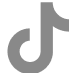 Tiktok icon