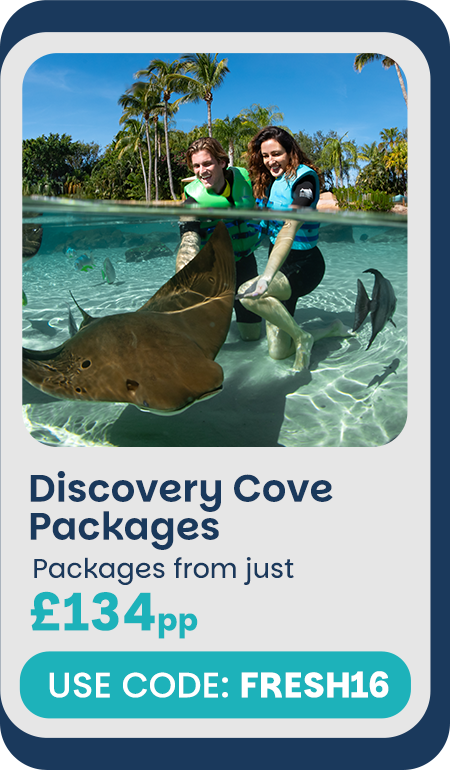 16% Off Discovery Cove