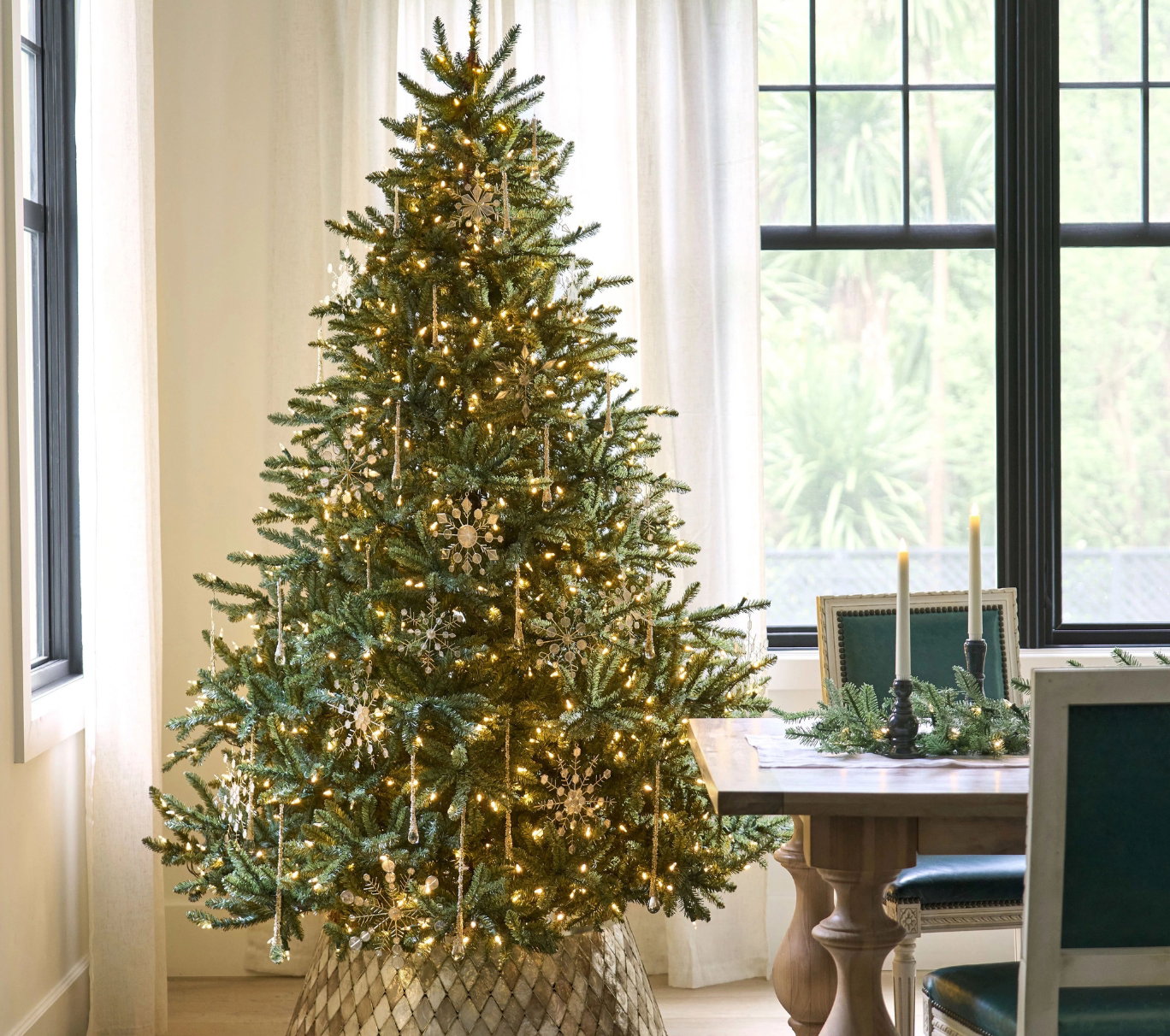 Classic Blue Spruce displayed in a dining room