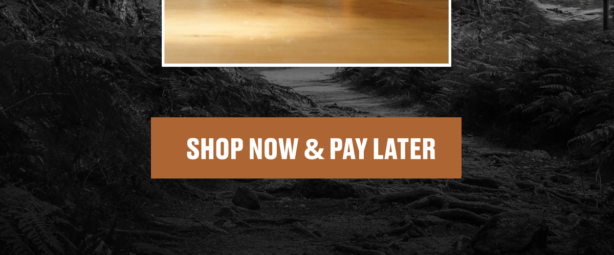 SHOP NOW & PAY LATER