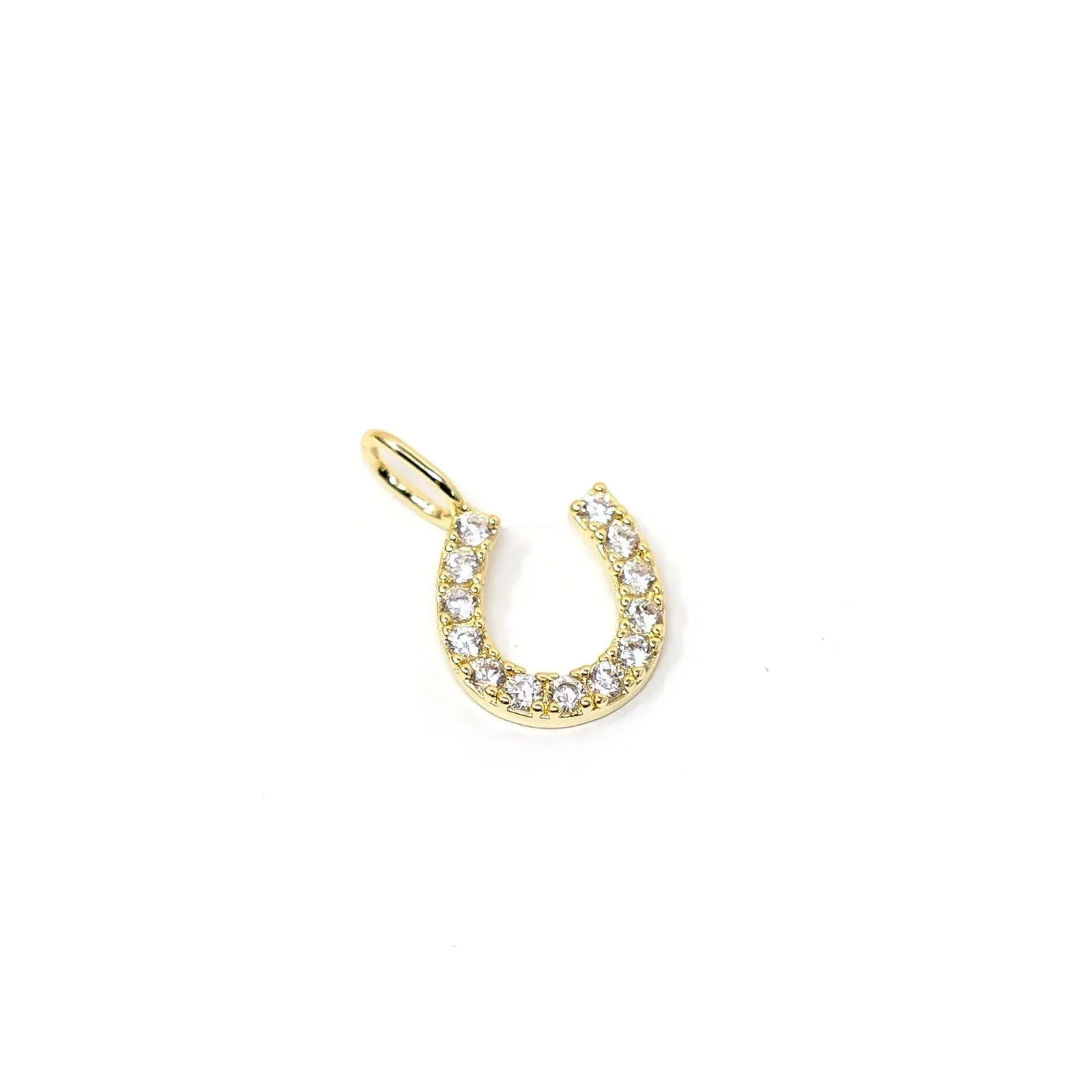 Image of Lucky Horseshoe Charm