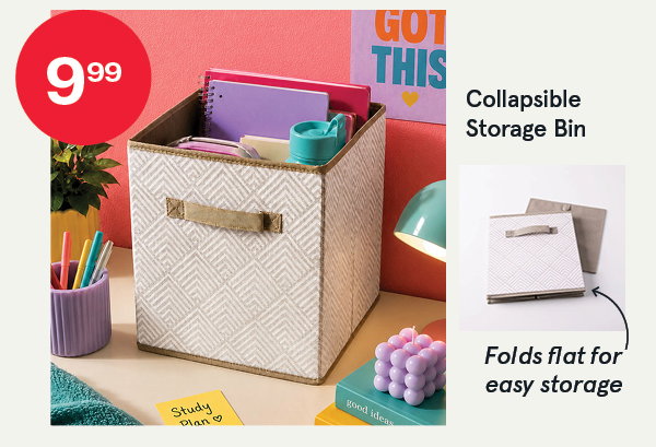 Collapsible Storage Bins