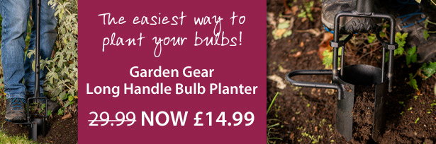 Long Handle Bulb Planter