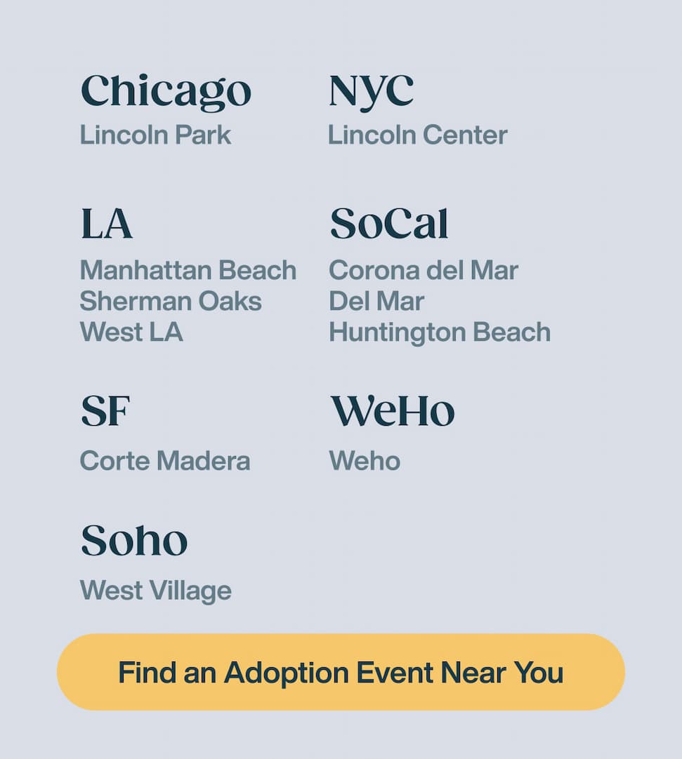 Find an Adoption Event Near You