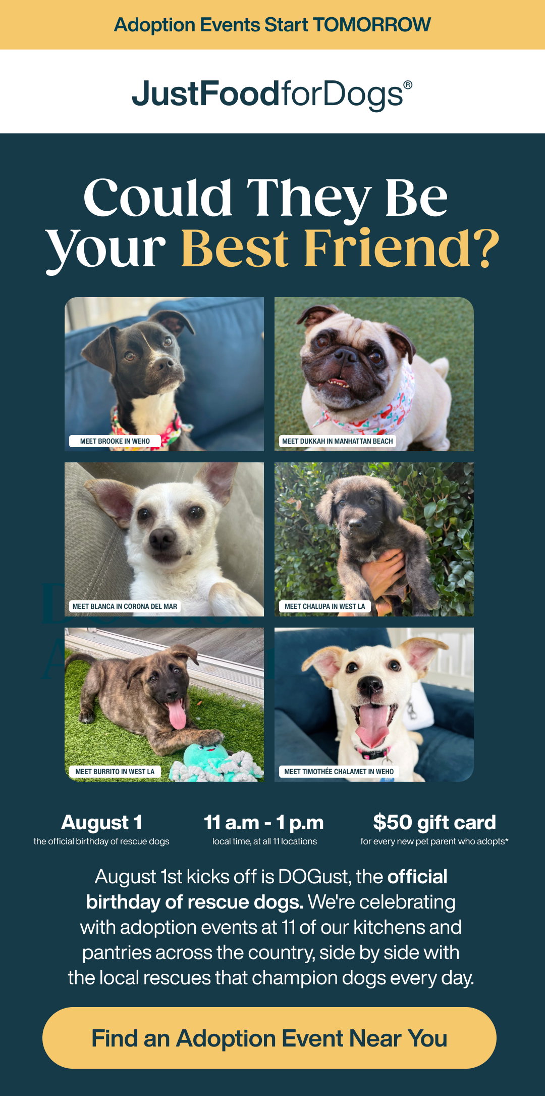 Find an Adoption Event Near You