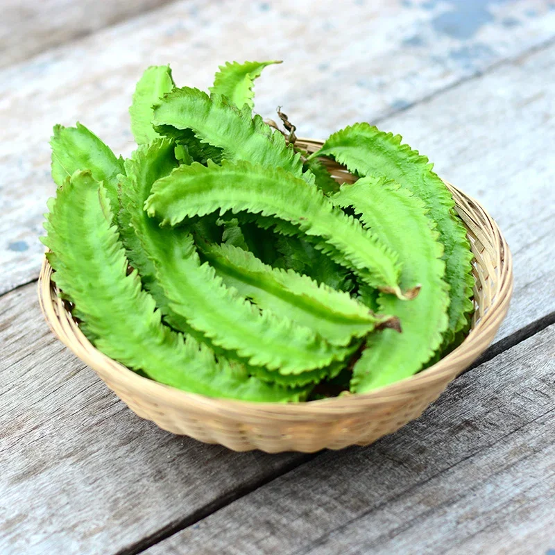 Asparagus Pea - Seeds