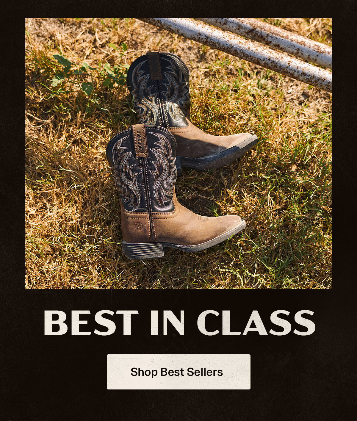 Best in Class