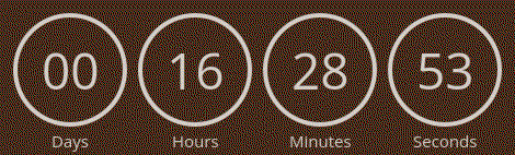 Timer from emailcountdowntimer.com