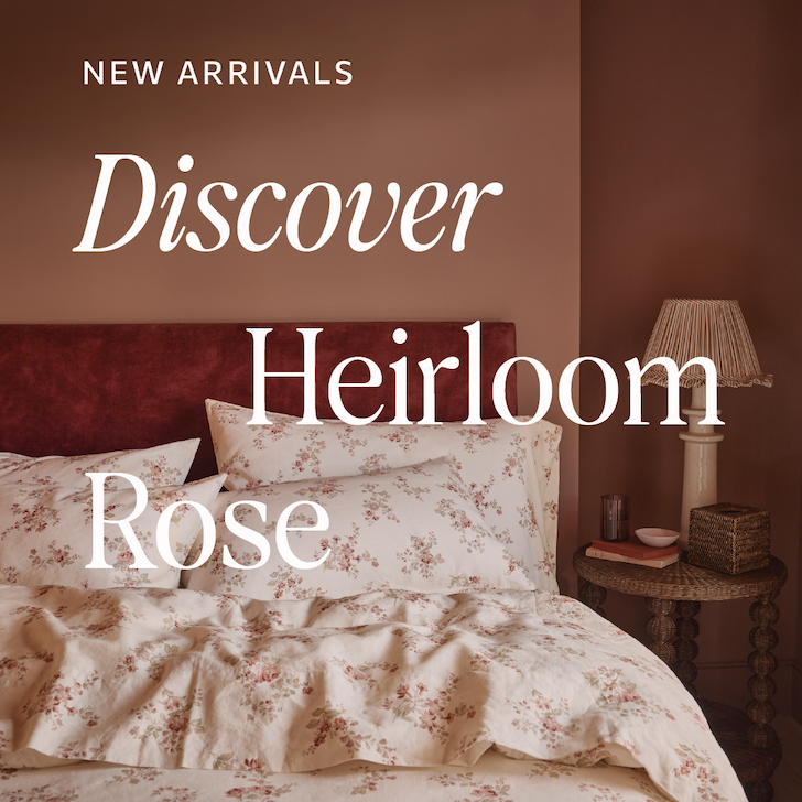 Discover Heirloom Rose