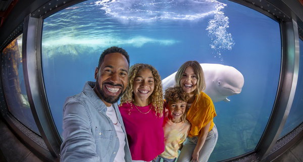 SUMMER SALE! SeaWorld San Diego Ticket Deals Up to 73% Off