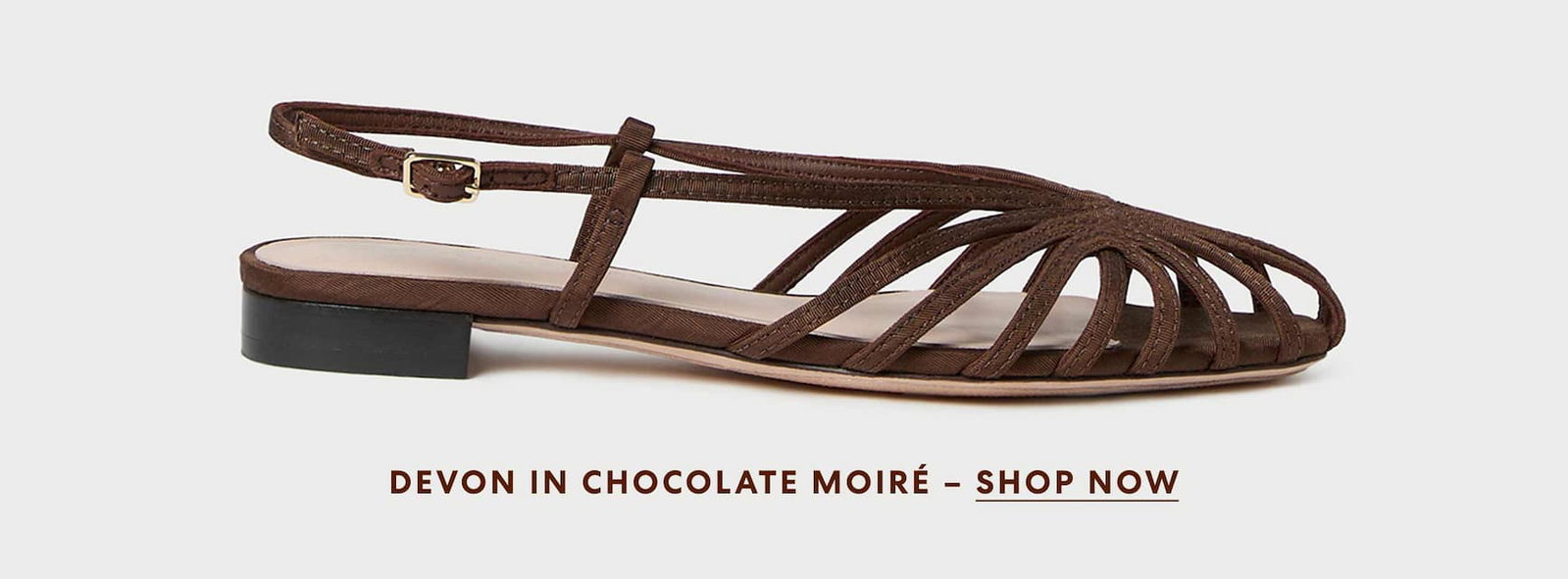 Devon in chocolate