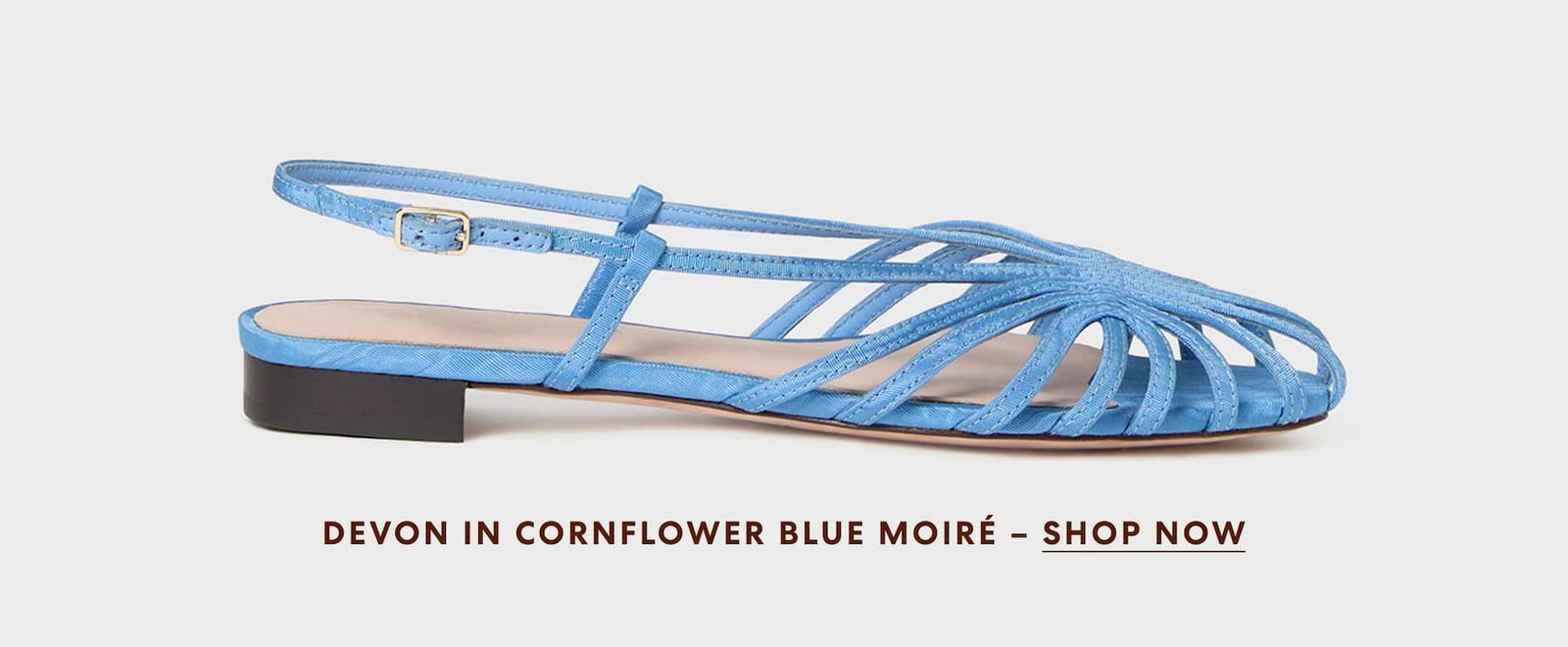 Devon in cornflower blue 