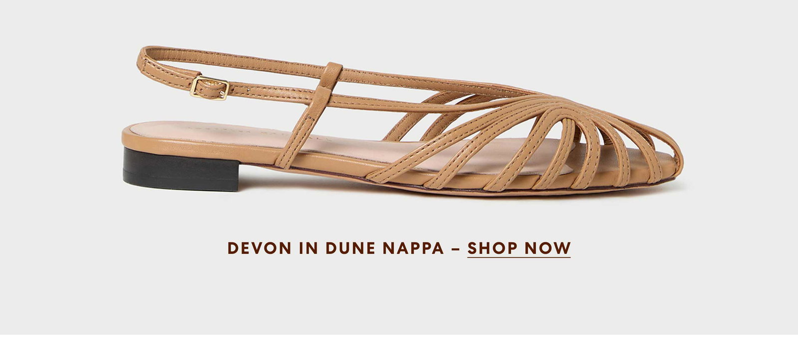Devon in dune