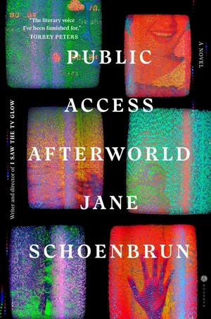 Book | Public Access Afterworld: A Novel By Jane Schoenbrun.