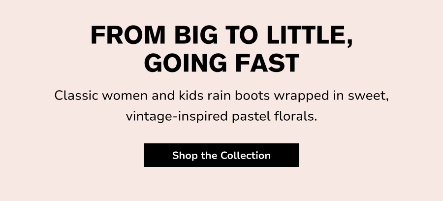 Shop the Collection