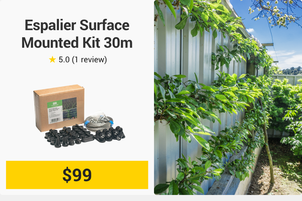 espalier kit 30m surface mount 